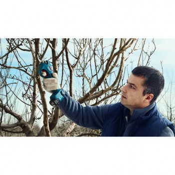 Sécateur électrique sans fil 12V + 2 Accus Pro Pruner Bosch