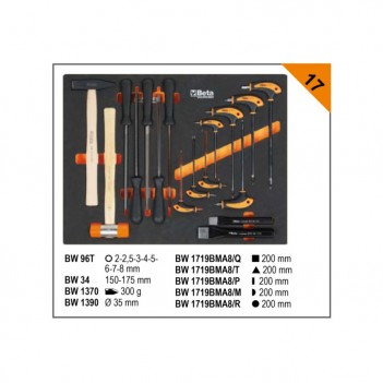 Composition de 268 outils pour la maintenance générale BW 5945/2024 Beta