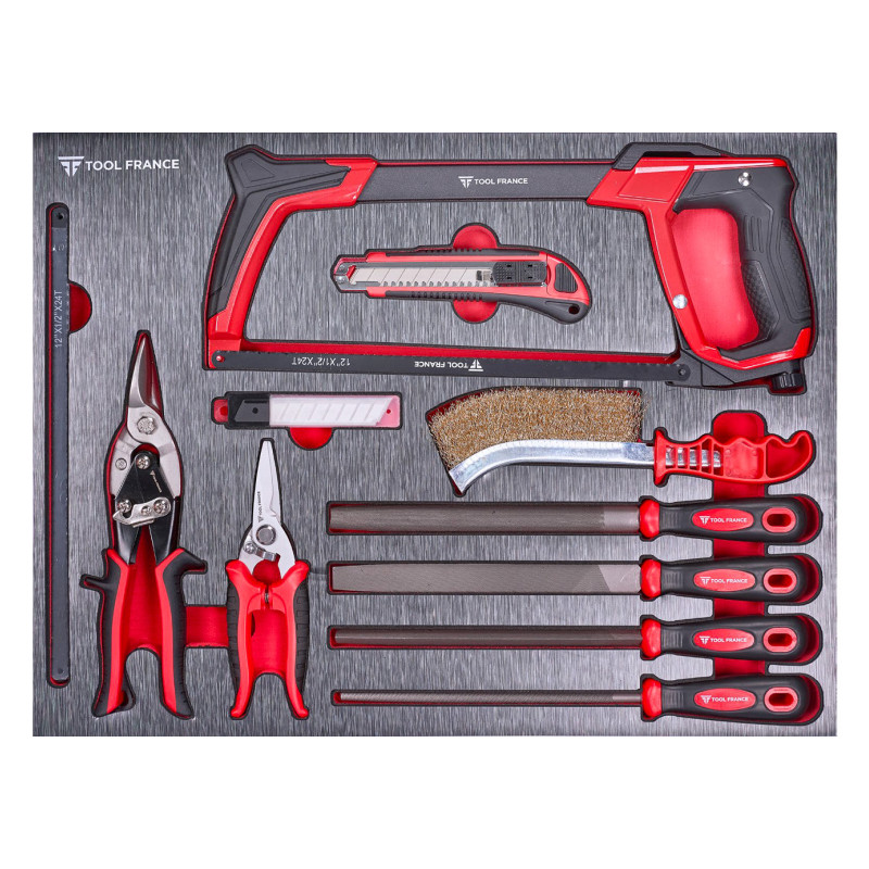 Insert/Module de limes, scie, sécateur, brosse 29 pcs. TFTT-TIROIR6 ToolFrance