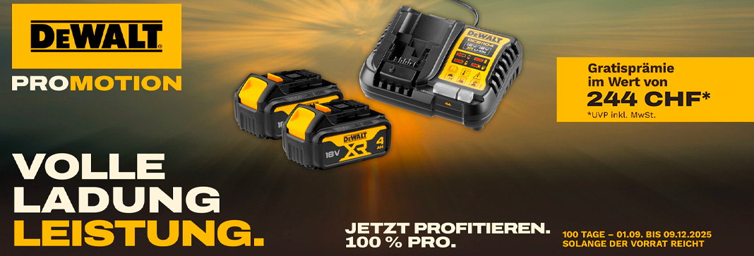 DeWalt Aktion – DCB1104M2 Kit geschenkt